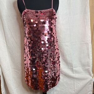 A New Day Mauve Top/Dress